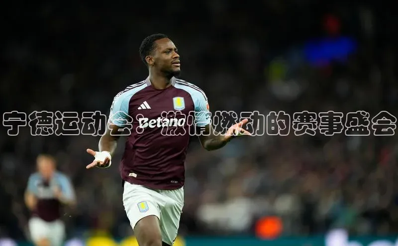 悟空体育平台登录入口百度学术宁德运动会：激情燃动的赛事盛会