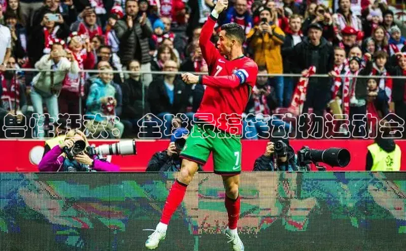 悟空体育最新版本更新内容中海达兽性狂欢：全球最搞笑动物运动会