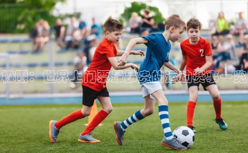 极限：世界上门票最昂贵的运动赛事一览