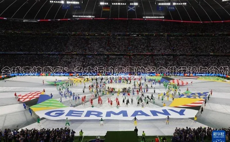 全球竞技盛宴：各大运动赛事的奖金排行榜与分析