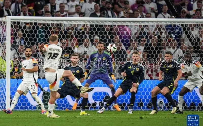 2021年运动赛事的人数趋势：深入数据与分析