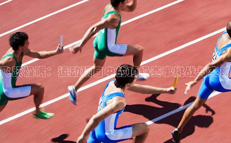 飞跃极限：运动项目中的顶级赛事挑战与突破