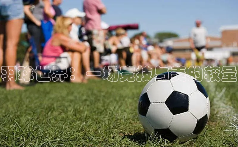 羽球世界：一场竞技与美的较量