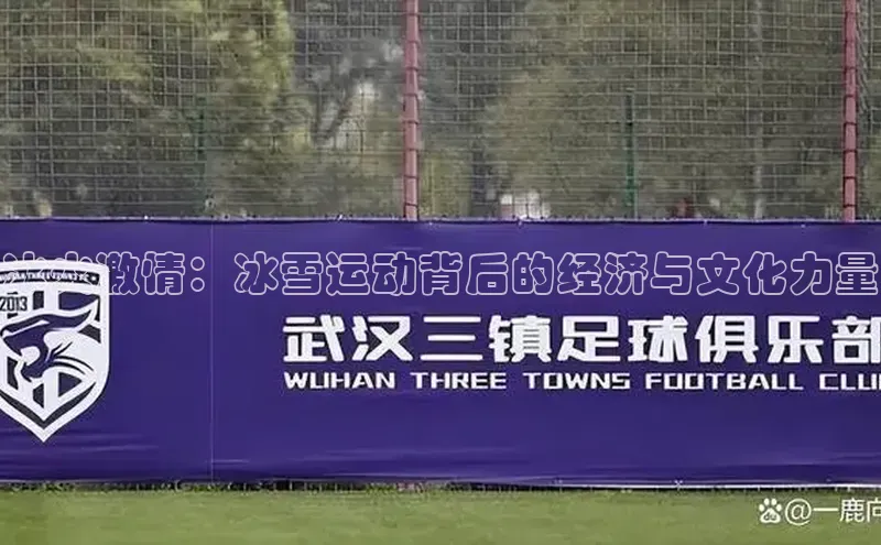 冰火激情：冰雪运动背后的经济与文化力量