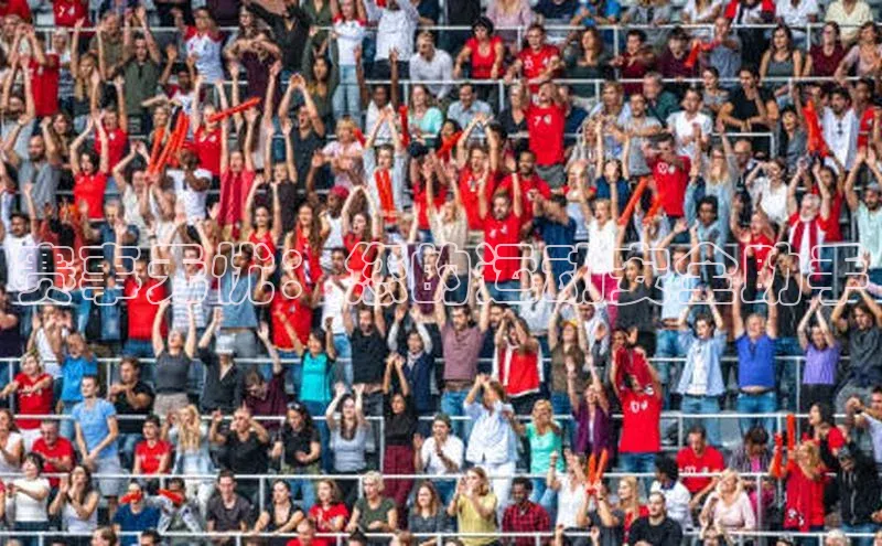 赛事无忧：您的运动安全助手