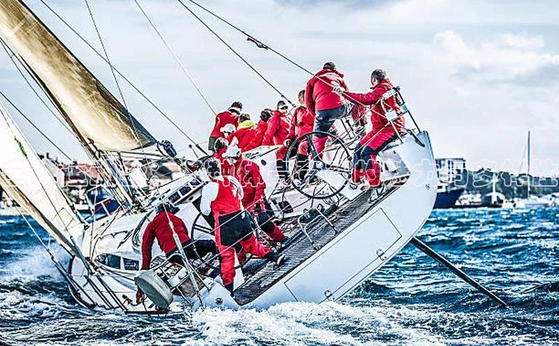 悟空体育app免费下载