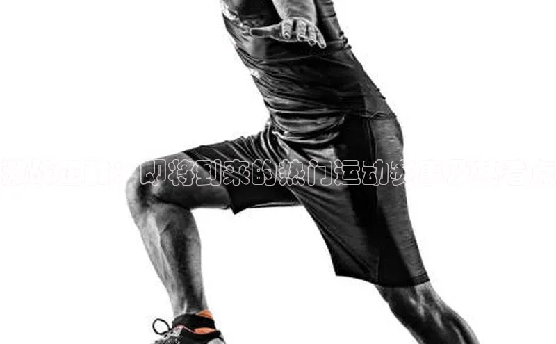 激战正酣：即将到来的热门运动赛事及其看点