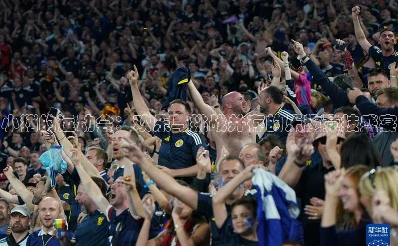 小猪的运动会：欢乐与挑战并存的乐趣竞技盛宴