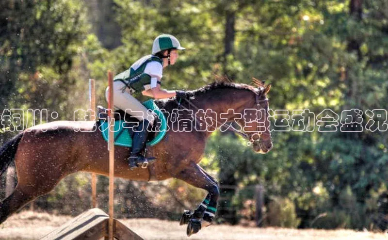 铜川：魅力与激情的大型运动会盛况