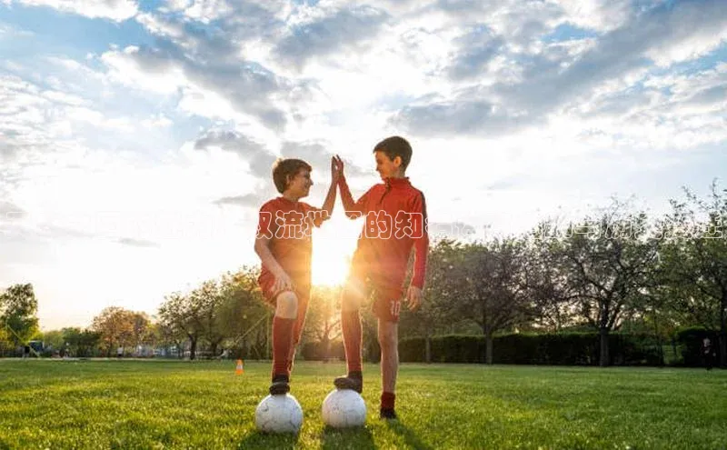 天府之国的魅力：双流地区的知名体育活动与历史变迁