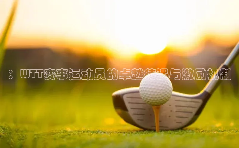 ：WTT赛事运动员的卓越待遇与激励机制