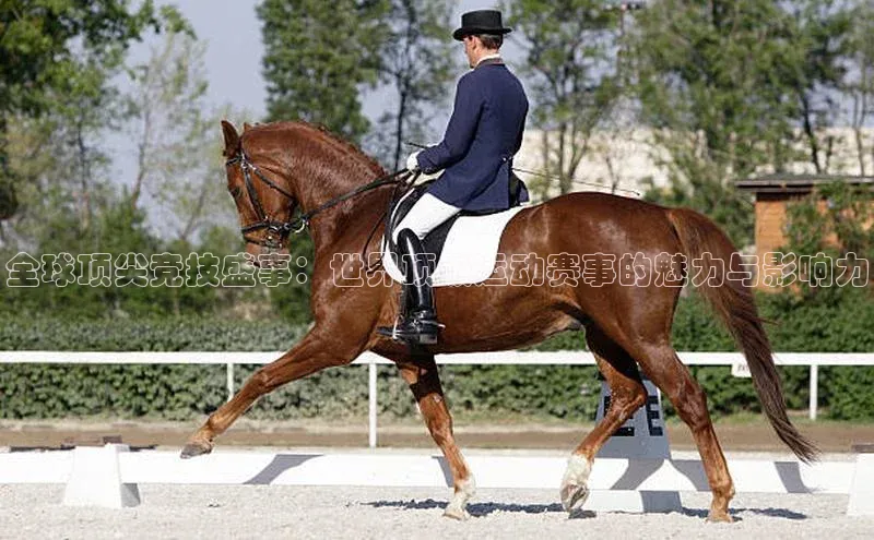 全球顶尖竞技盛事：世界顶级运动赛事的魅力与影响力