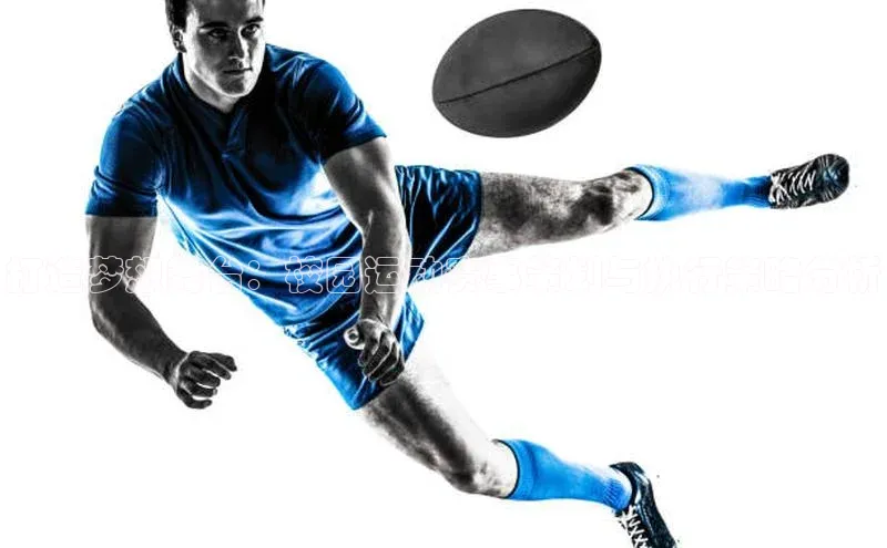 悟空体育app下载入口