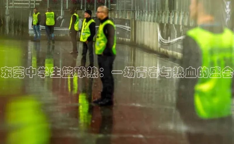 东莞中学生篮球热：一场青春与热血的盛会