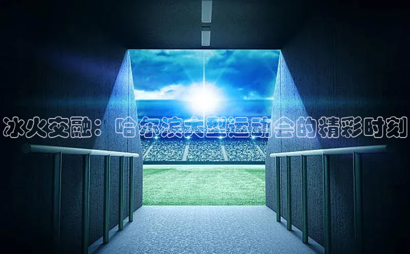冰火交融：哈尔滨大型运动会的精彩时刻