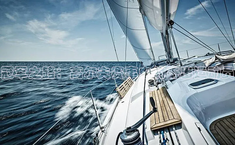 冠军之路：高尔夫赛事中的杰出运动员