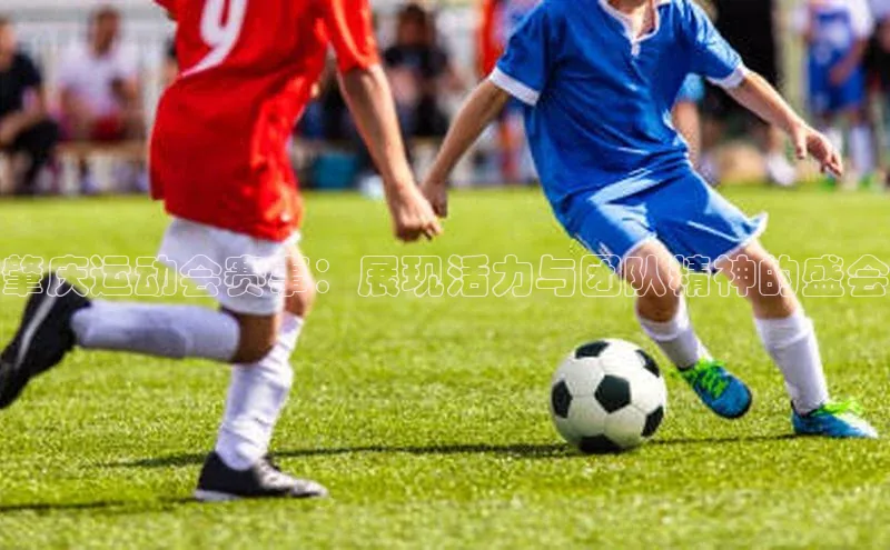 肇庆运动会赛事：展现活力与团队精神的盛会