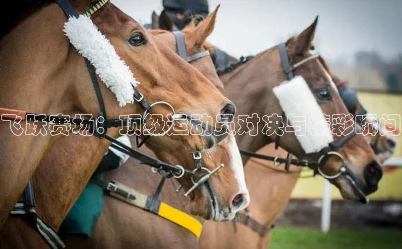 飞跃赛场：顶级运动员对决与精彩瞬间