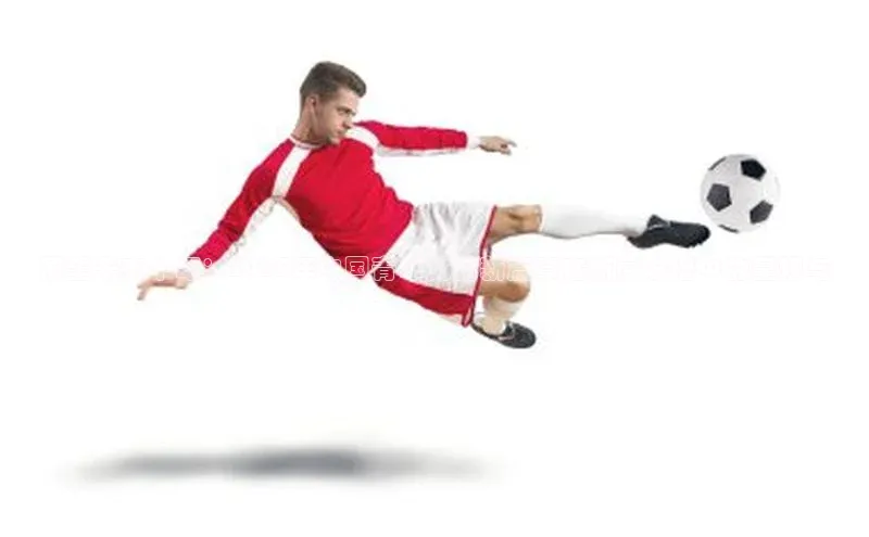 悟空体育app免费下载