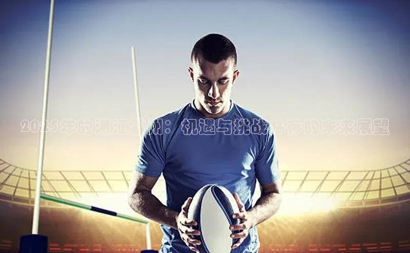 2025年的湛江雷州：机遇与挑战并存的未来展望