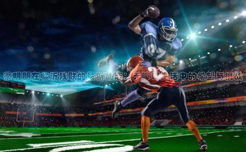 蔡明朋在临沂残联的最新动态：无障碍生活中的希望与挑战