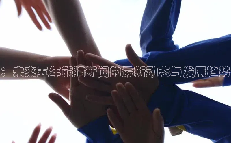 ：未来五年熊猫新闻的最新动态与发展趋势